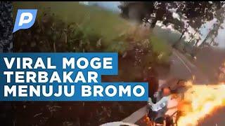 Viral Moge Terbakar di Jalur Sapikerep Menuju Bromo