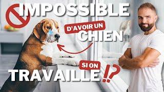 IMPOSSIBLE davoir un chien si on travaille ?