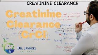 Creatinine Clearance CrCl Calculations