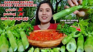 MUKBANG 10 BATANG PEPAYA MENTAH LALAPAN MENTAH TANPA NASI#mukbanglalapanmentah#papayatree