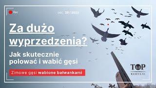 Polowanie na gęsi z bałwankami  więcej akcji