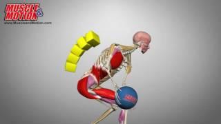 Medicine-Ball Rotational Throw