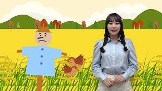 아이들교실 LIVE 창의교실 2단계 10월 3주차