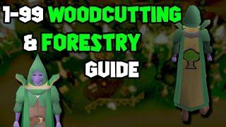 OSRS 1-99 Woodcutting & Forestry Guide  Updated Woodcutting Guide