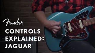 Controls Explained Fender Jaguar  Fender