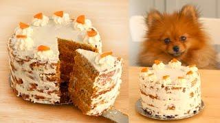 Carrot Cake FOR DOGS  RECIPE  Paddingtons Pantry