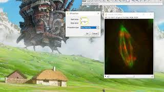 ImageJ Tutorial  How to merge z stack slices into one