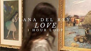 Lana Del Rey - Love 1 HOUR LOOP