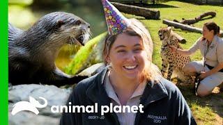 Australia Zoos Care Programs & Fun Activities  Crikey Its The Irwins