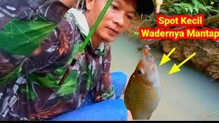 Mancing Ikan Wader Di ParritSungai Kecil Sambaran Mantap