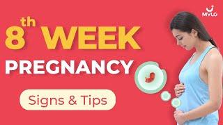 8 Week Pregnancy Baby Growth  8 Week Pregnancy Baby Movement  Mylo Family