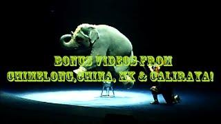 BONUSVideosFromChimelongChinaHKCaliraya