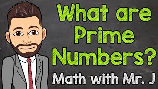 What are Prime Numbers?  Math with Mr. J