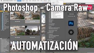 Photoshop. Camera Raw. ¿Cómo copiar y pegar ajustes de Camara Raw desde el Bridge?. liclonny