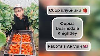 Сбор клубники  Вся правда  Ферма Dearnsdale Knightley   РАБОТА В АНГЛИИ