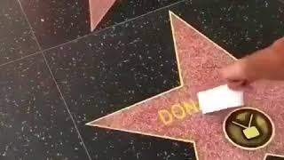 And you get a Trump star  And you get a Trump star