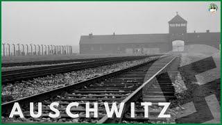 AUSCHWITZ The Complete DISTURBING Tour  WARNING Actual footage