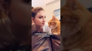 A day in the life of Chonk #cat #catvideos #adayinmylife #cats