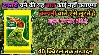 daftari 21 chana seed  chane ki kheti chane ki best variety दफ्तरी 21 चने की खेती Daftari 21 chana