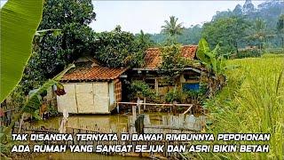 BIKIN HATI TENANG ADEM BANGET MENIKMATI HIDUP DI KAMPUNG YANG SEJUK NYAMAN DAN DAMAI