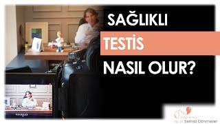 Sağlıklı Bir Testis Nasıl Olur?  Op. Dr. Serhat Dönmezer - Üroloji Uzmanı