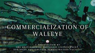 Commercialization of Walleye - Out of Season Spawning