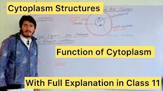 Cytoplasm  Structure of Cytoplasm And at function With Full Explanation