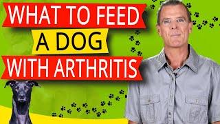 What to Feed a Dog With Arthritis Supplementation and Diet