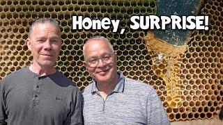 How My Honey Bees Went From DYING to EXPLODING Ep. 282.