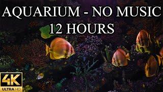 AQUARIUM 4K Coral Reef 4K Aquarium NO MUSIC and NO ADS - 12 Hours  Aquarium Sounds For Sleeping