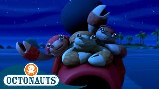 @Octonauts - The Coconut Crab Family   Series 2  Full Episode 4  Cartoons for Kids