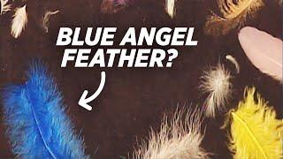 First Angel Feathers Appear. Then This Happens…