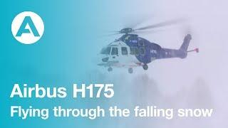 H175  Flying through the falling snow