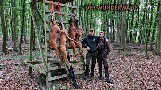 Der Wunderwald  Brüderherzen auf Bockjagd Staffel 4 - Jagdkrone