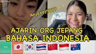 NGAJARIN ORG JEPANG BAHASA INDONESIA ANJAAYYY   OmeTV 