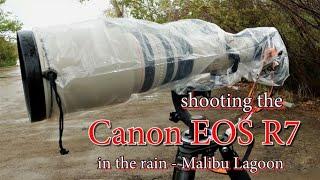 Shooting the Canon R7 in the rain and the Z9 at Sepulveda - such an amazing time
