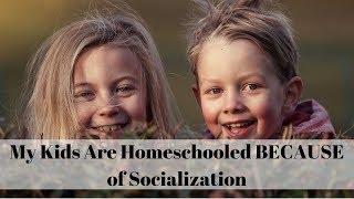 My Kids Are Homeschooled BECAUSE of Socialization