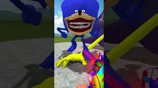 SONIC TAPES or SPONGE BOB TAPES vs CATNAP HEAD in Garrys Mod 