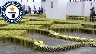 Crazy Book Dominoes - Guinness World Records