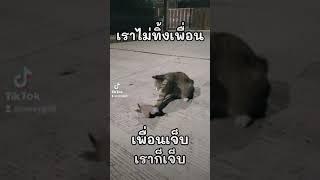 เพื่อนเอ๋ย.. เราจะไม่ทิ้งกัน​ เพื่อนเจ็บ​ เราก็เจ็บ