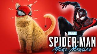 MARVELS SPIDER-MAN MILES MORALES - ÖRÜMCEK KEDİ - Bölüm 3