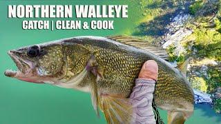 Fishing Swimbaits for Northern Walleye  Catch Clean & Cook