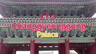 All of Changgyeonggung Palace in Seoul