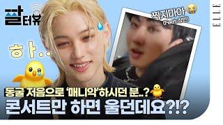 Eng YongBok is here Stray Kids Felixs Meme-terview  ELLE KOREA