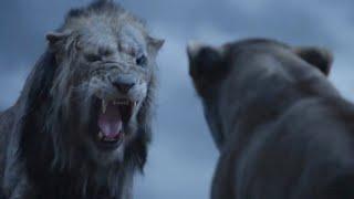 Scar vs Sarabi Fight Scene  THE LION KING  Movie Scene 2019