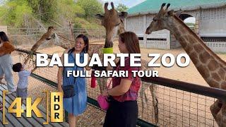 The Famous Baluarte Zoo in Vigan City and Chavit Singson  Walking Tour  Ilocos Sur Philippines