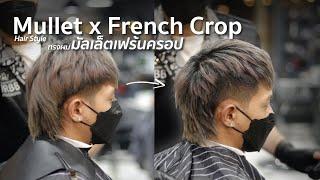 Mullet x French Crop มัลเล็ตเฟร้นครอป  HRBB