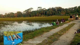 MANCING DI KROYA LANJUT KE PIK