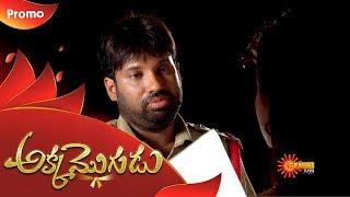 Akka Mogudu - Promo  2nd November 19  Gemini TV Serial  Telugu Serial