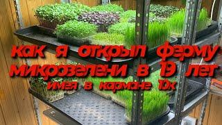 Как открыть ферму микрозелени? Бизнес на выращивании микрозелени Как продавать микрозелень?